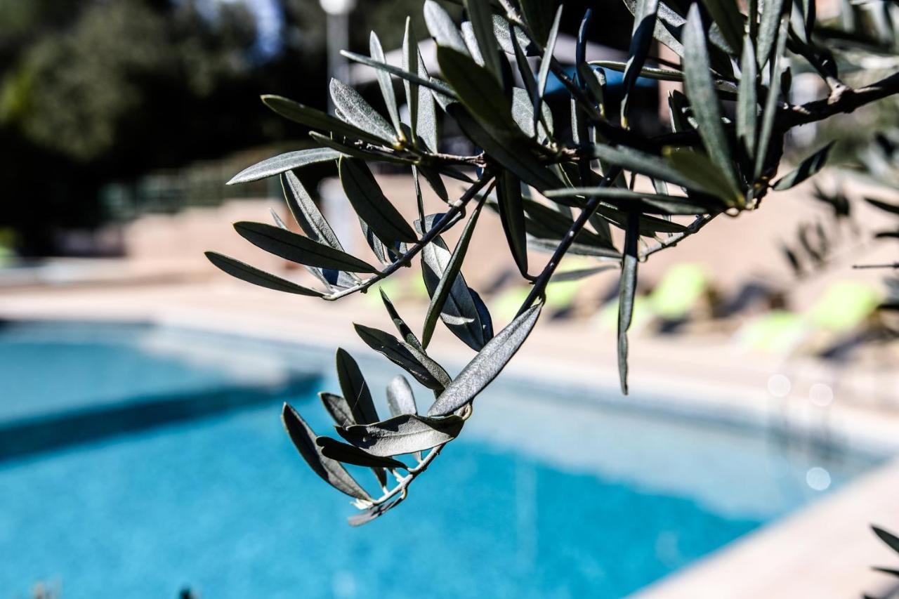 Les Arbousiers Village Hotel Provencal La Roquebrussanne エクステリア 写真
