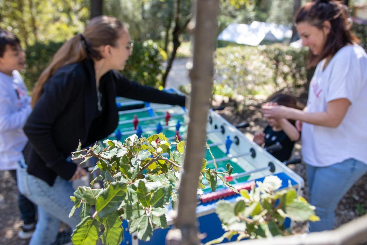 Les Arbousiers Village Hotel Provencal La Roquebrussanne エクステリア 写真