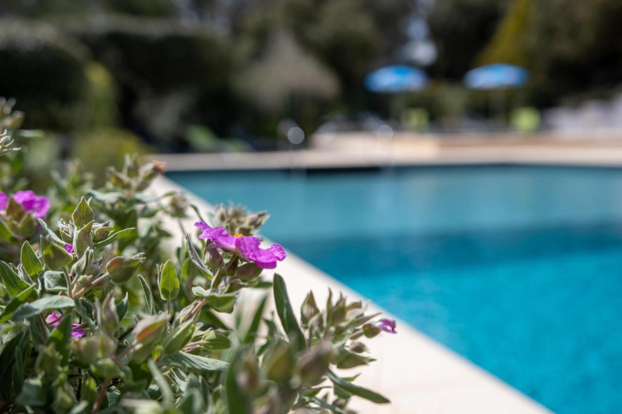 Les Arbousiers Village Hotel Provencal La Roquebrussanne エクステリア 写真